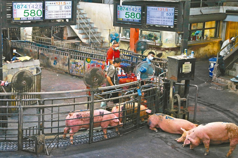萊豬宣布輸台，雲林豬肉拍賣市場規畫轉型重建。記者黃仲裕／攝影
