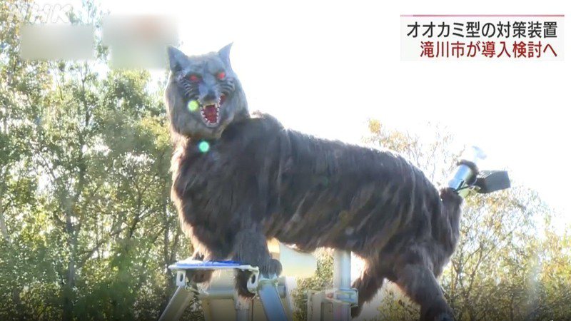 北海道為了防範害獸，推出「機器狼」對付野生動物。圖擷取自NHK