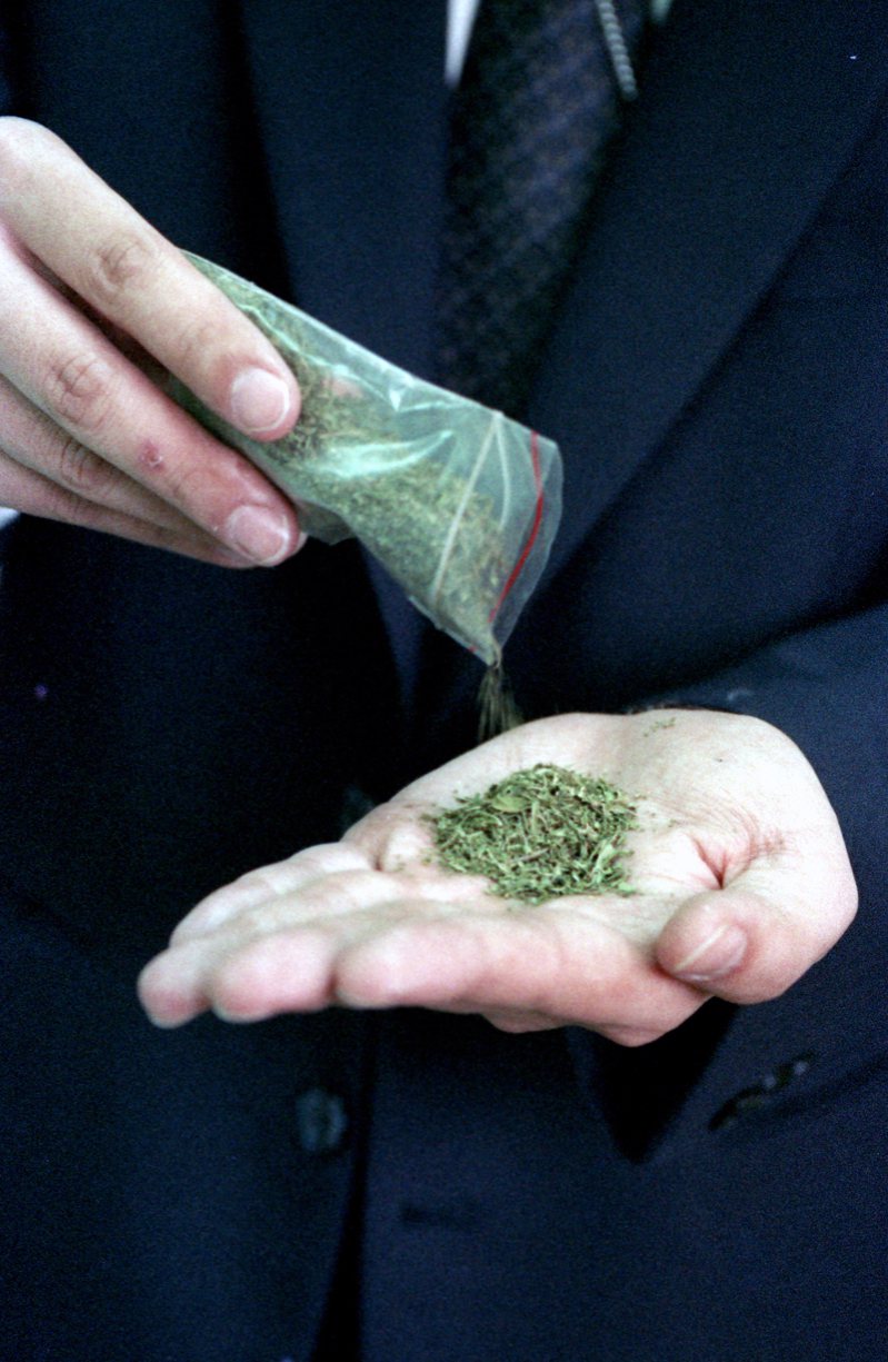 種植大麻被查獲者指出，市場上大麻花藥效最強、價格最高，色澤呈「青綠」者，大都是國內種植的。圖／聯合報系資料照片