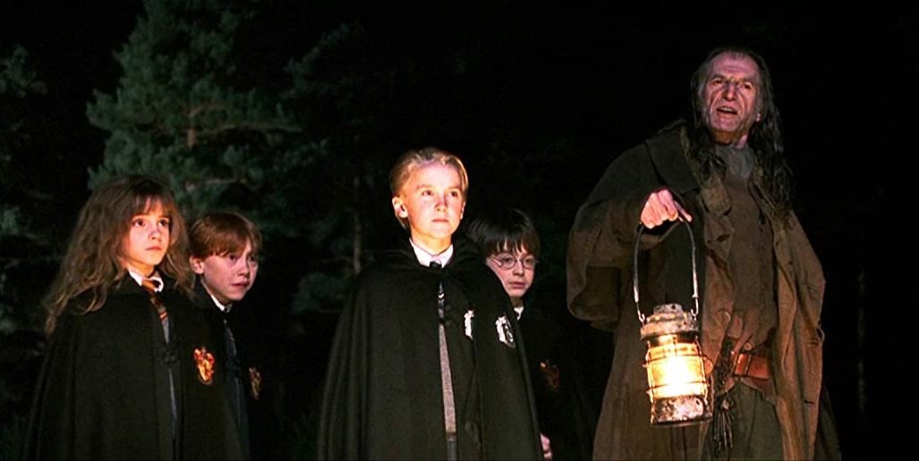 「哈利波特：神秘的魔法石」上映滿19周年。圖／摘自imdb