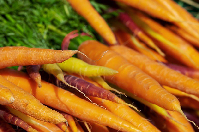 紅蘿蔔發芽後並無毒素可安心食用，但也因發芽，甜度跟營養價值都會降低，變得較不好吃...