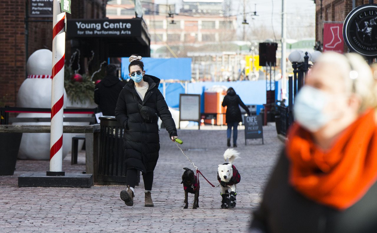 圖為加拿大多倫多街頭，一名戴口罩的女子出門遛狗。新華社