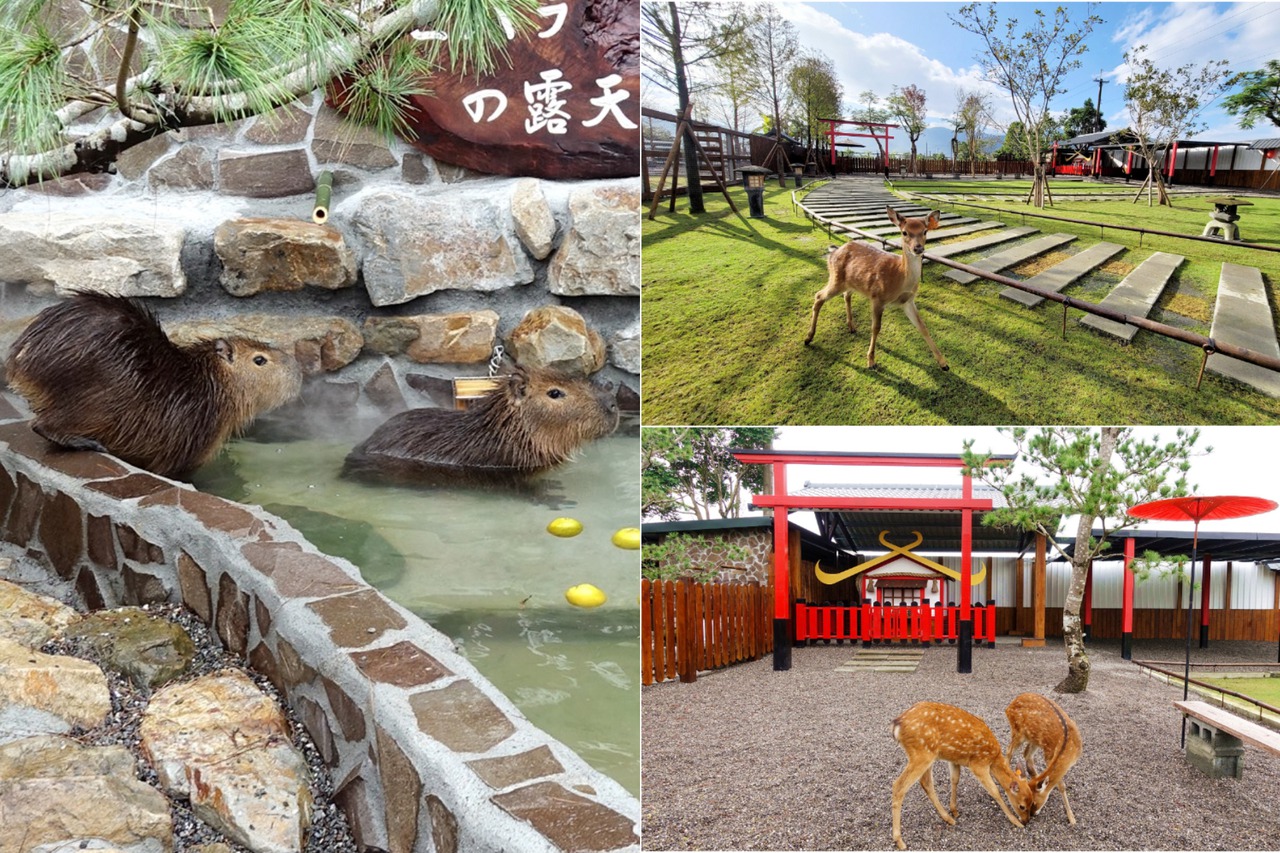 看水豚君泡湯、穿和服餵小鹿斑比！宜蘭最新農場「400坪日式庭園」4大亮點還能賞落羽松