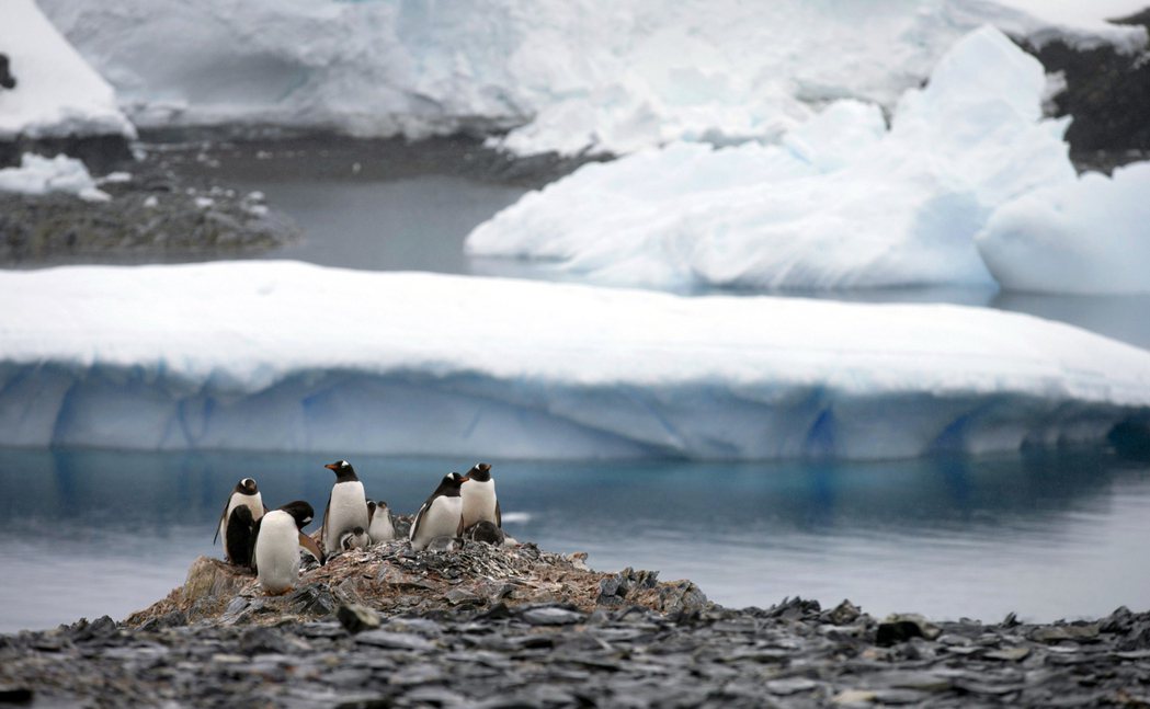 南極疫情會不會擴散？目前還有待觀察。倘若未來關閉更多研究站，南極的相關科學工作，...