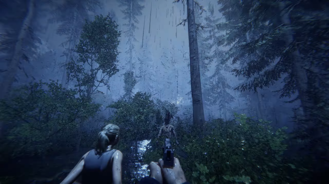 玩家需要拿起武器在天候變化的環境生存。