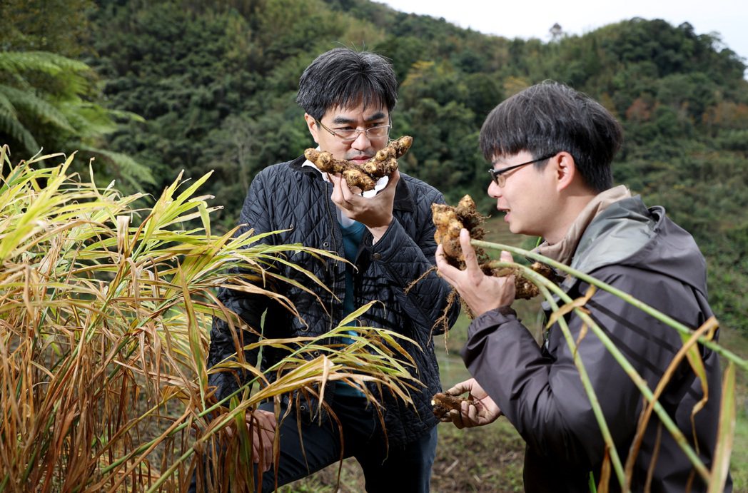 徐仲（左）走訪新竹農家，向薑農交流食材想法。記者余承翰／攝影