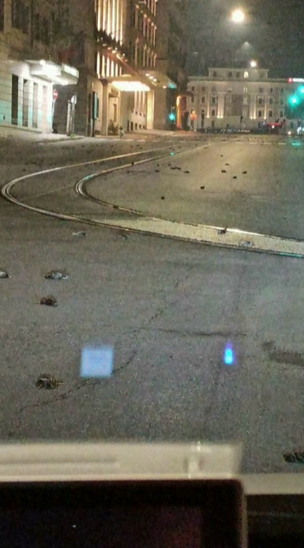 目击者费尼恰新年夜驾车行经罗马特米尼车站附近的加富尔路，见到路面与两侧人行道有着大量鸟类遗体时，赶紧拿出手机拍摄，直唿好心情这下全没了。路透/Diego Fenicchia(photo:UDN)