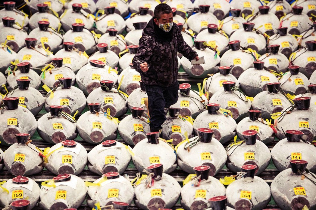 1月5日，日本豐洲市場如期舉行了鮪魚拍賣大會。只不過相較於過往現場的人聲鼎沸，今...