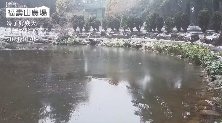 坐擁四季花海的福壽山農場今（9日）早透過臉書直播2021瑞雪，園內天池也結了一層...