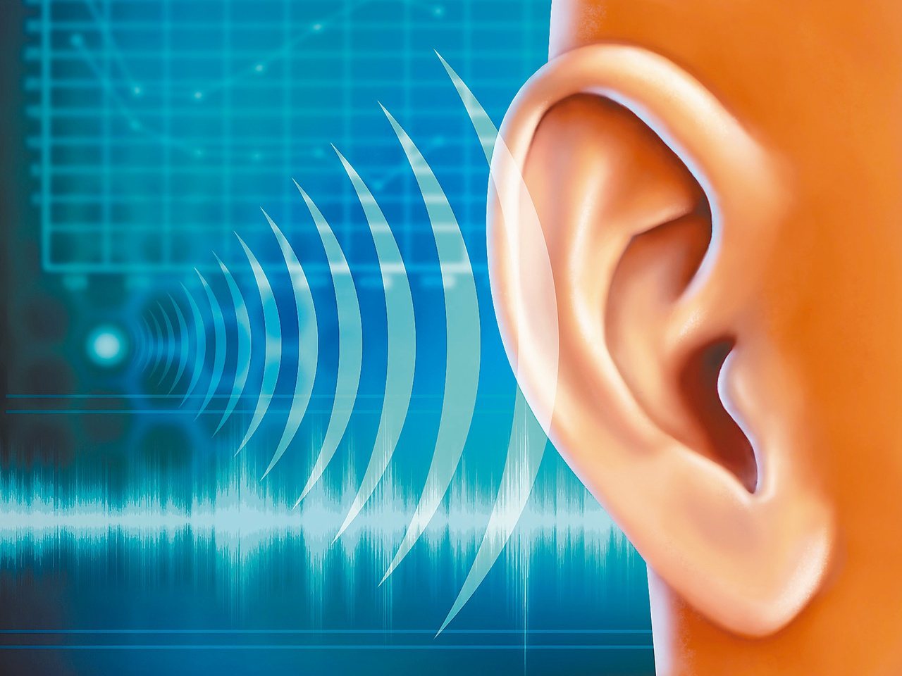 耳鳴和幻聽兩者來源不同，建議患者宜盡早就醫，早期找到病因並治療，才能減輕痛苦。圖╱123RF