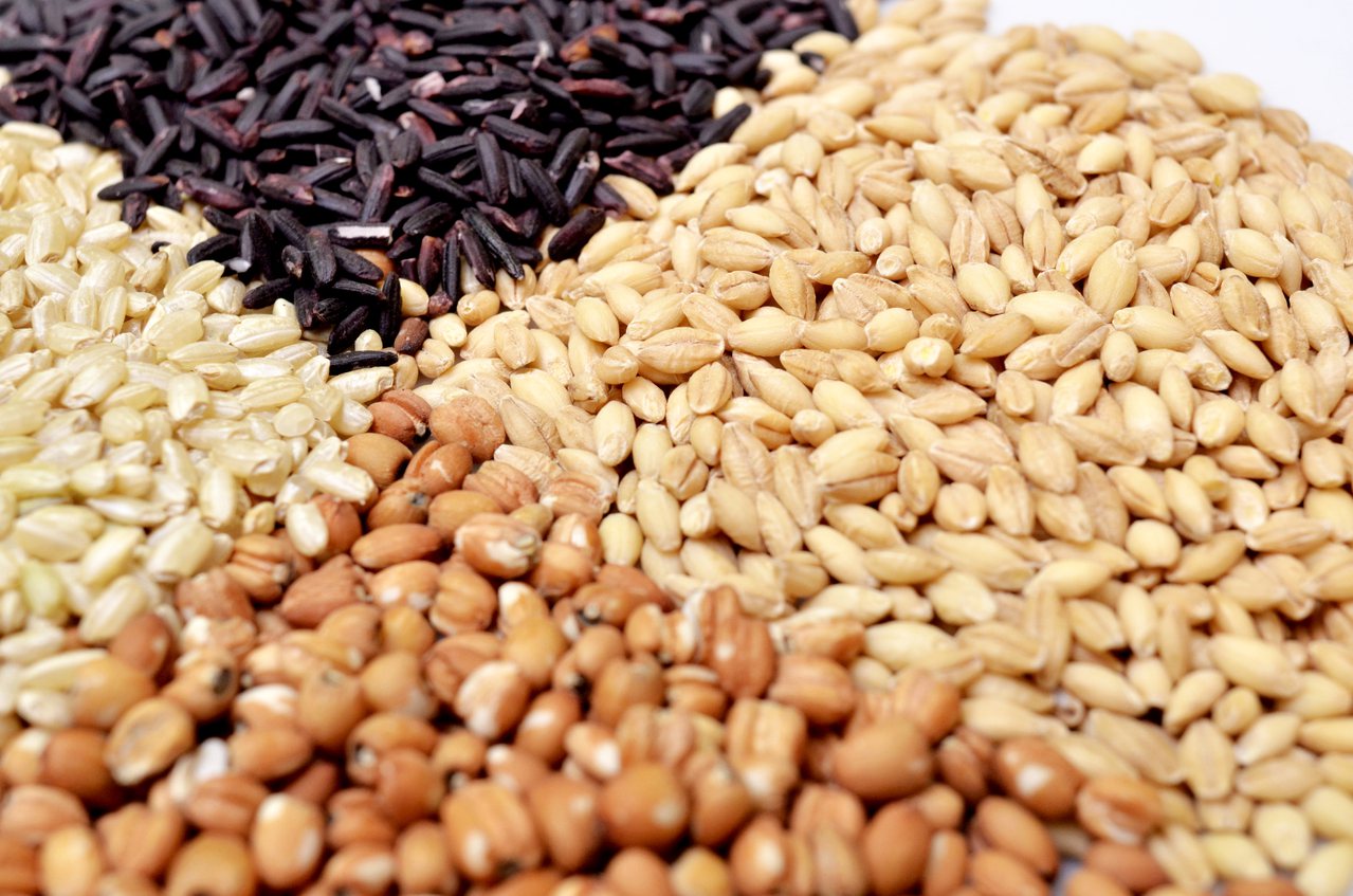 低GI飲食可以選擇未精製全穀根莖類：糙米、紫米、全大麥、糙薏仁等。 圖／楊祖宏 ...
