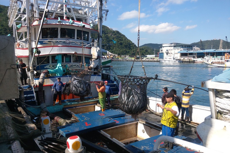 南方澳是台灣3大漁港之一，近海、遠洋漁業發達，但打造繁榮漁村的背後，卻是許多討海人的辛酸血淚。記者張議晨／攝影