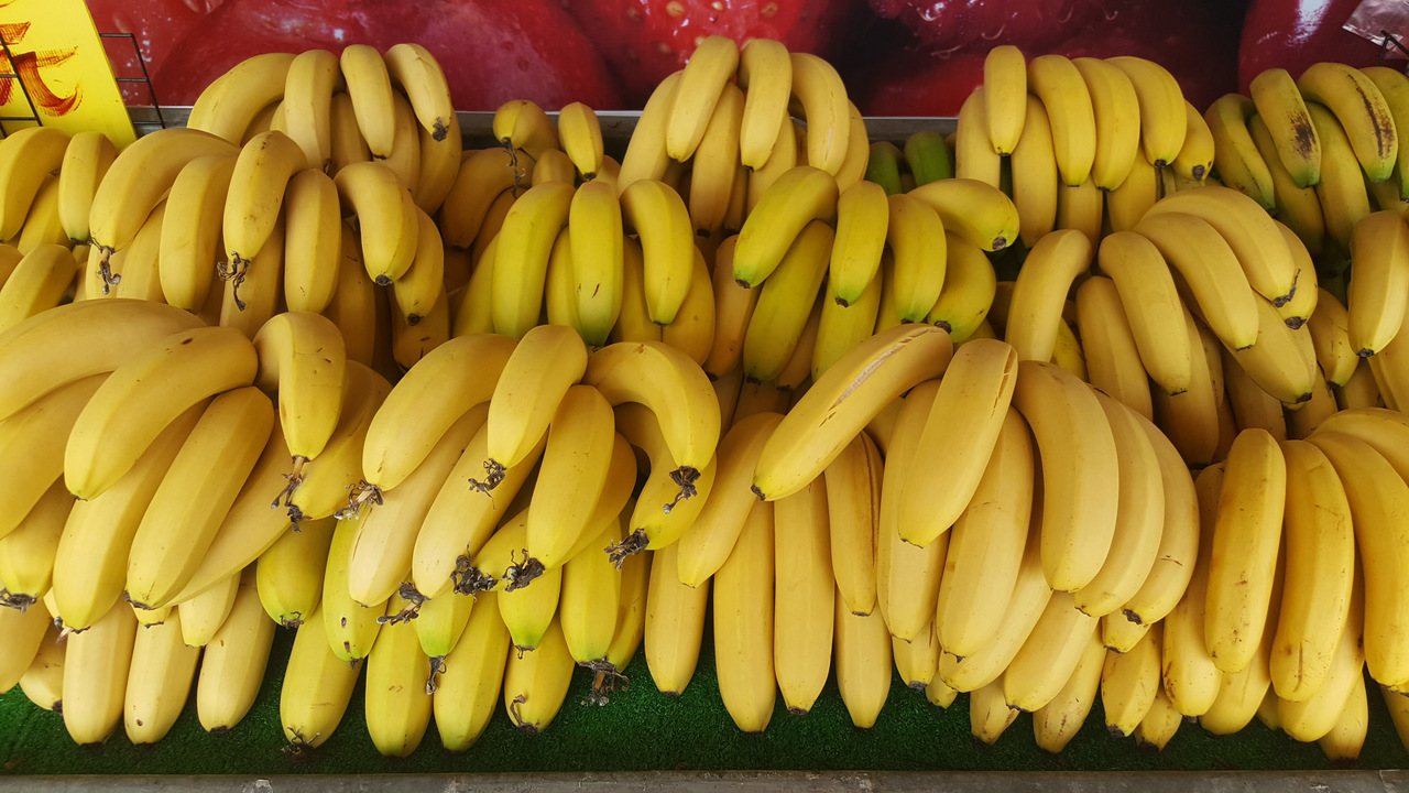 香蕉。記者胡蓬生／攝影