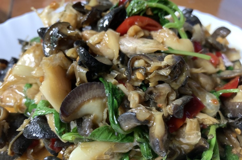 非洲大蝸牛常用來做成炒螺肉，變成常見的下酒菜。記者王思慧／攝影