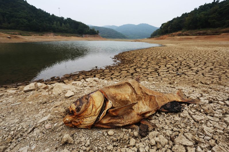 此為示意圖，為江西省瑞昌市一處水庫2019年10月乾涸見底景象。中新社