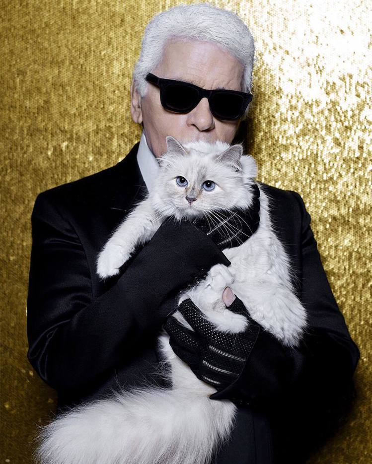 已故兩周年的「時尚大帝」老佛爺與他的愛貓合影。（圖／取自instagram帳號「karllagerfeld」）