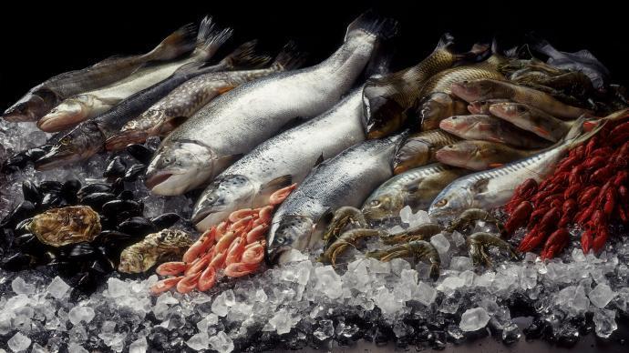 海鮮水產品可能是新型冠狀病毒滋生的「培養基」。（澎湃新聞）