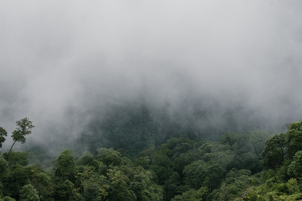 谷關坐擁山嵐雲霧美景，生態資源豐富。 圖／樸實創意提供