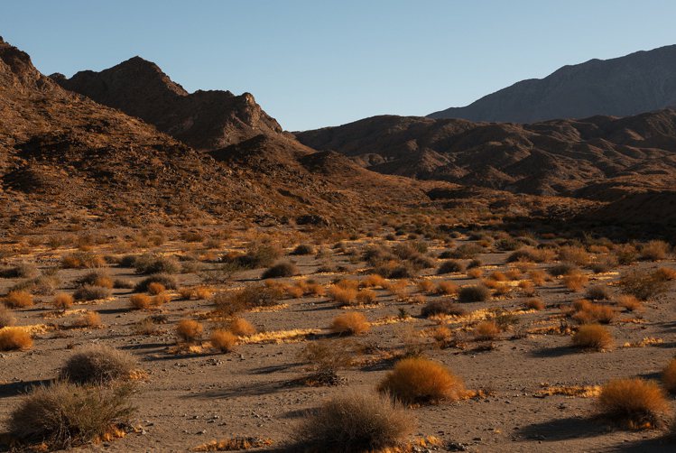 頂級鐘表品牌RICHARD MILLE持續深耕當代藝術創作，宣布擔任擔任「Desert X 2021」紀錄片執行製片、並將擔任DESERT X 2021沙漠雙年展的贊助商。圖 / RICHARD MILLE提供。