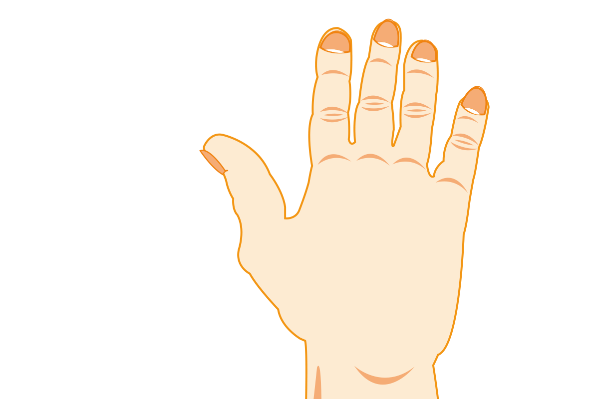 和身體其他部位比起來，我們瞄到自己指甲的機會十分頻繁，所以很容易會發現指甲上出現溝紋或是有些許裂痕。多數人會認為這是上了年紀的緣故，但並非完全如此。