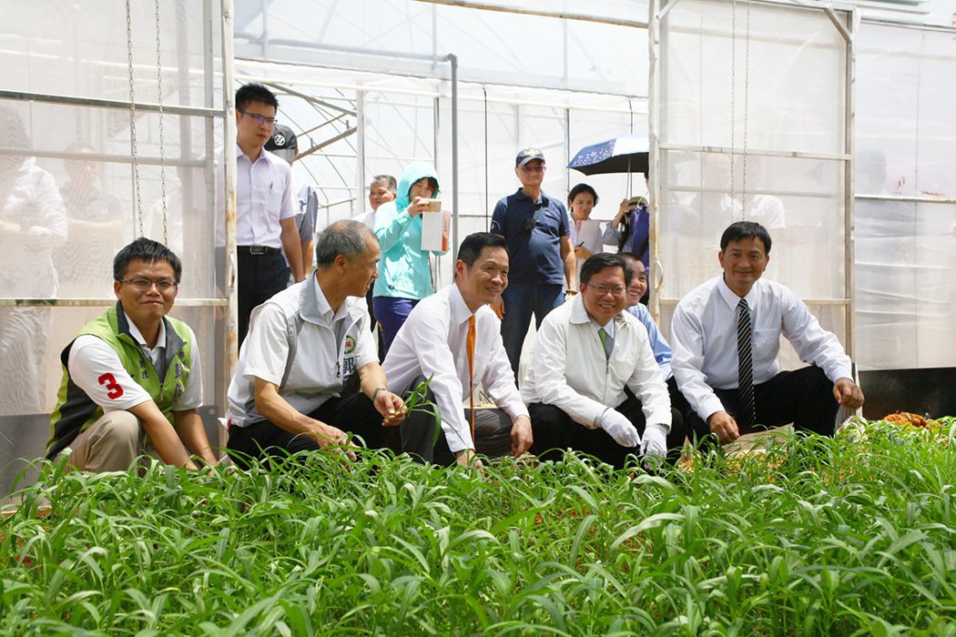 台灣房屋業界首創，成立了「友善健康農場」，栽種各類有機蔬菜，每週都定期發送給同仁...
