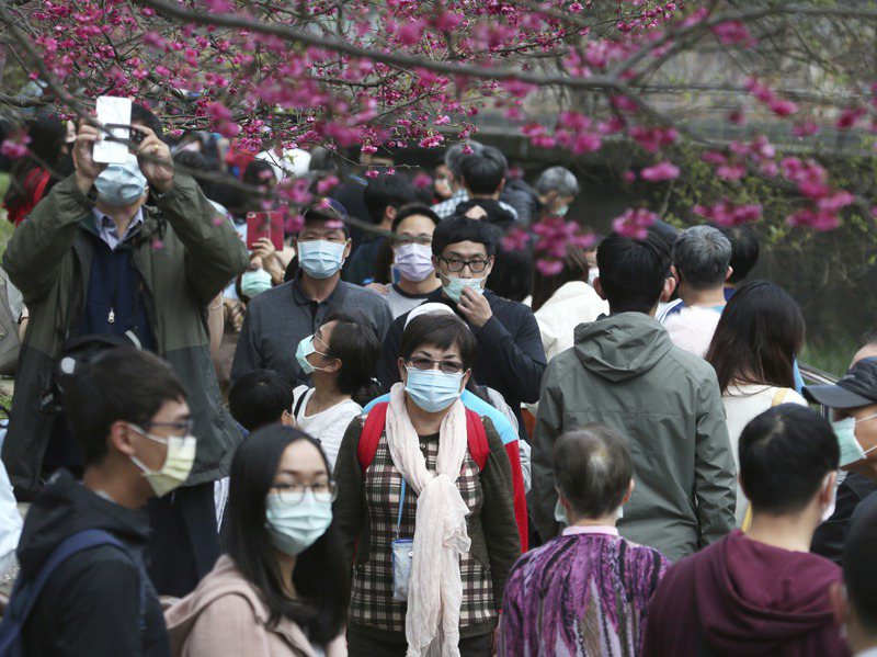 新冠疫情下防疫意識提高，讓去年台灣流感死亡率創十年新低，圖為春節期間台北民眾戴著口罩賞櫻。美聯社