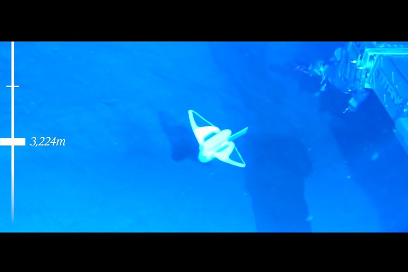 中國浙江大學李鐵風團隊在《自然》期刊發表軟體機器魚研究，圖為南海3224公尺深處成功自行游動影像。圖／翻攝自YouTube/Nature