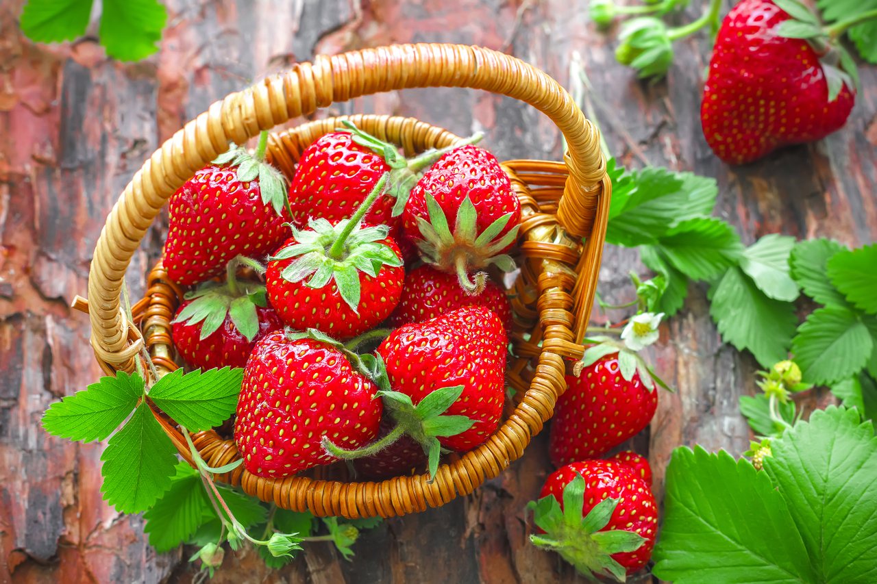 草莓。圖／ingimage