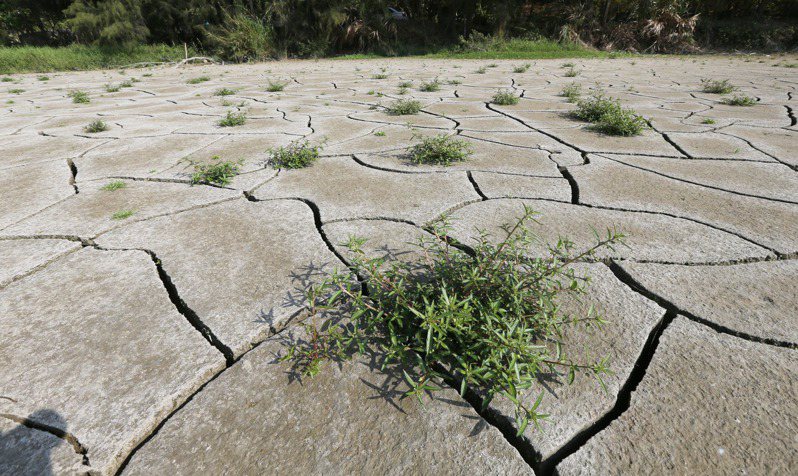 台灣遭逢56年來最嚴重乾旱。圖為台南東山區「西口小瑞士」，因為缺水龜裂乾涸。本報資料照片