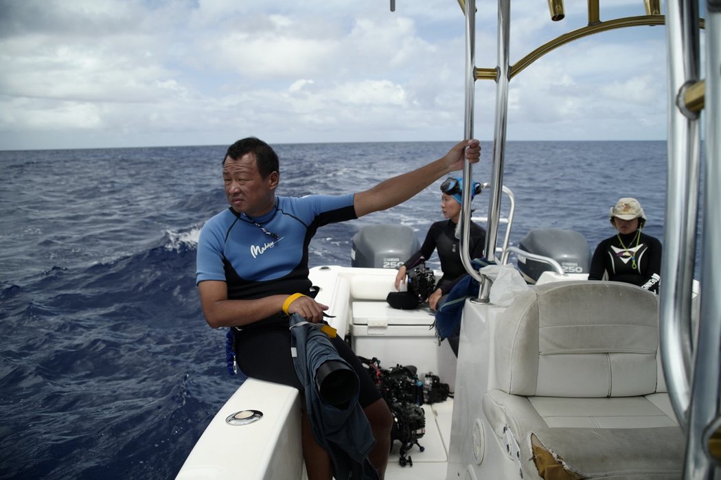 「男人與他的海」記錄水下鯨豚攝影師金磊的精采人生。圖／台北電影節提供 黃保慧