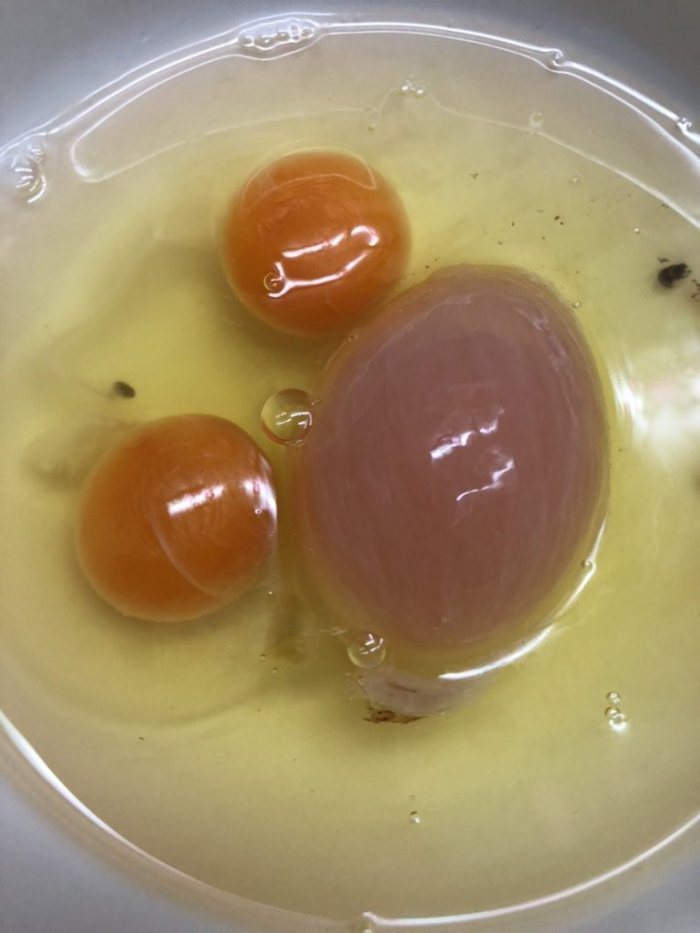 一名網友打了一顆蛋卻掉出雙蛋黃和一個「巨蛋」，讓其他人看了直呼太幸運了。 圖／翻攝自《Dcard》