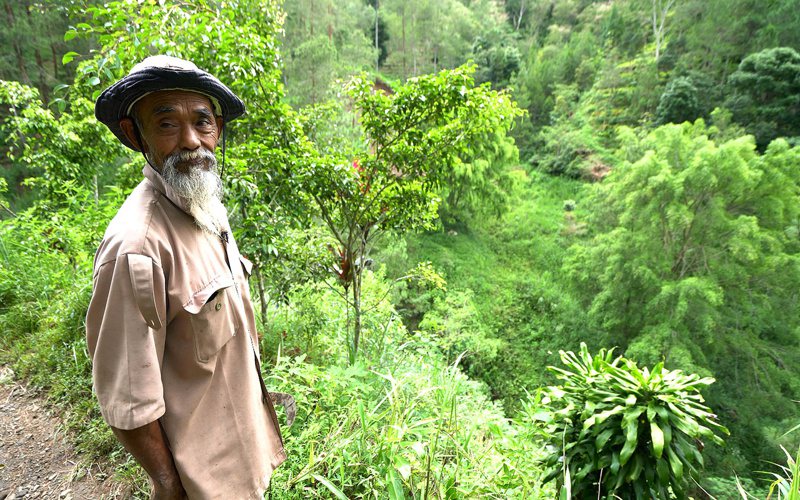 戴著招牌闊邊帽，身穿狩獵襯衫，沙迪曼訴向路透記者訴說他的雄心壯志：種植樹木、保護水資源、幫助人們。眼前的茂密樹林就是他24年來努力的成果。路透