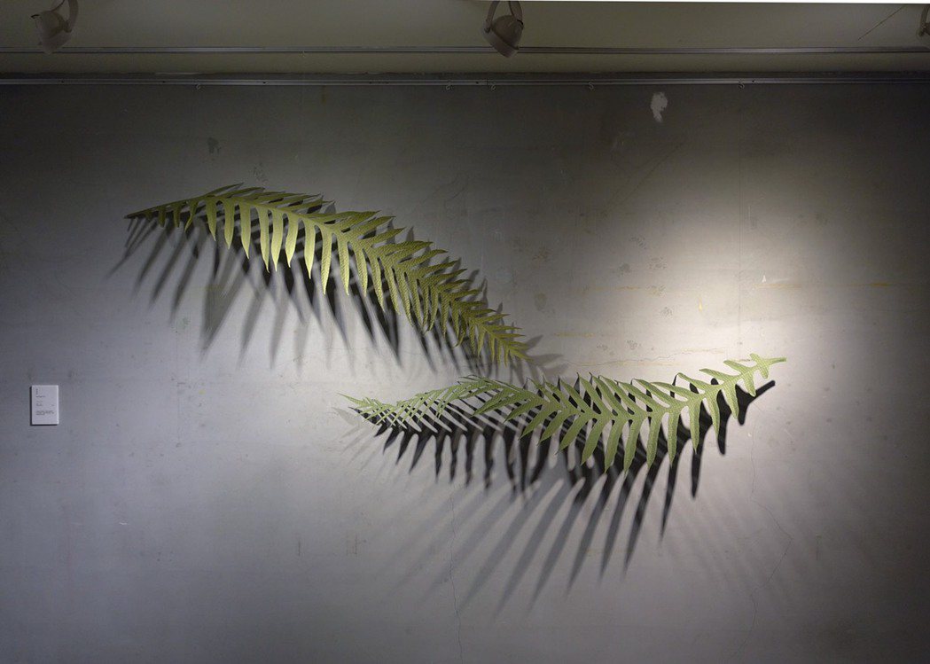 Wuba Yang作品「崖薑蕨」，首度在樹火紀念紙博物展出。圖／樹火紀念紙博物館...