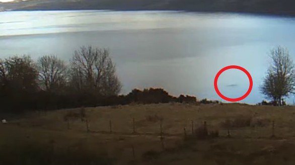 美國奧瑞岡州28歲女子旺格上月17日觀看尼斯湖線上直播畫面，發現湖畔處水面下出現巨大的「黑色不明物體」。圖截自YouTube（＠Eoin Fagan）