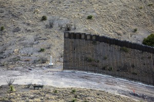 承包商在川普政府最後任期急忙於亞利桑那州建造一小面圍牆，民眾表示，這面牆是他看過最無意義的事物之一。 圖／摘自紐約時報