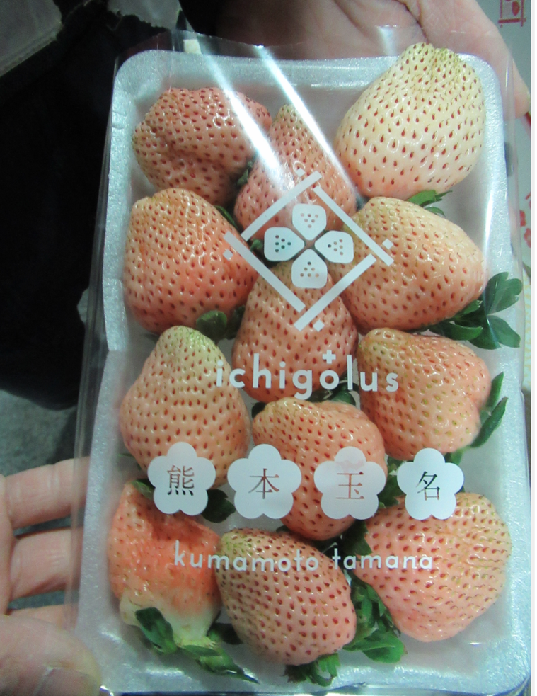 日本進口的「鮮草莓」檢出殘留農藥超標。圖／食藥署提供