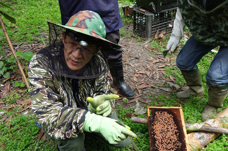 呂坤旺講解養蜂技術。圖／花蓮林管處提供