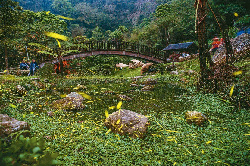 圓潭自然生態園區生態資源豐富，也可預約生態解說。 圖／嘉義縣文化觀光局提供