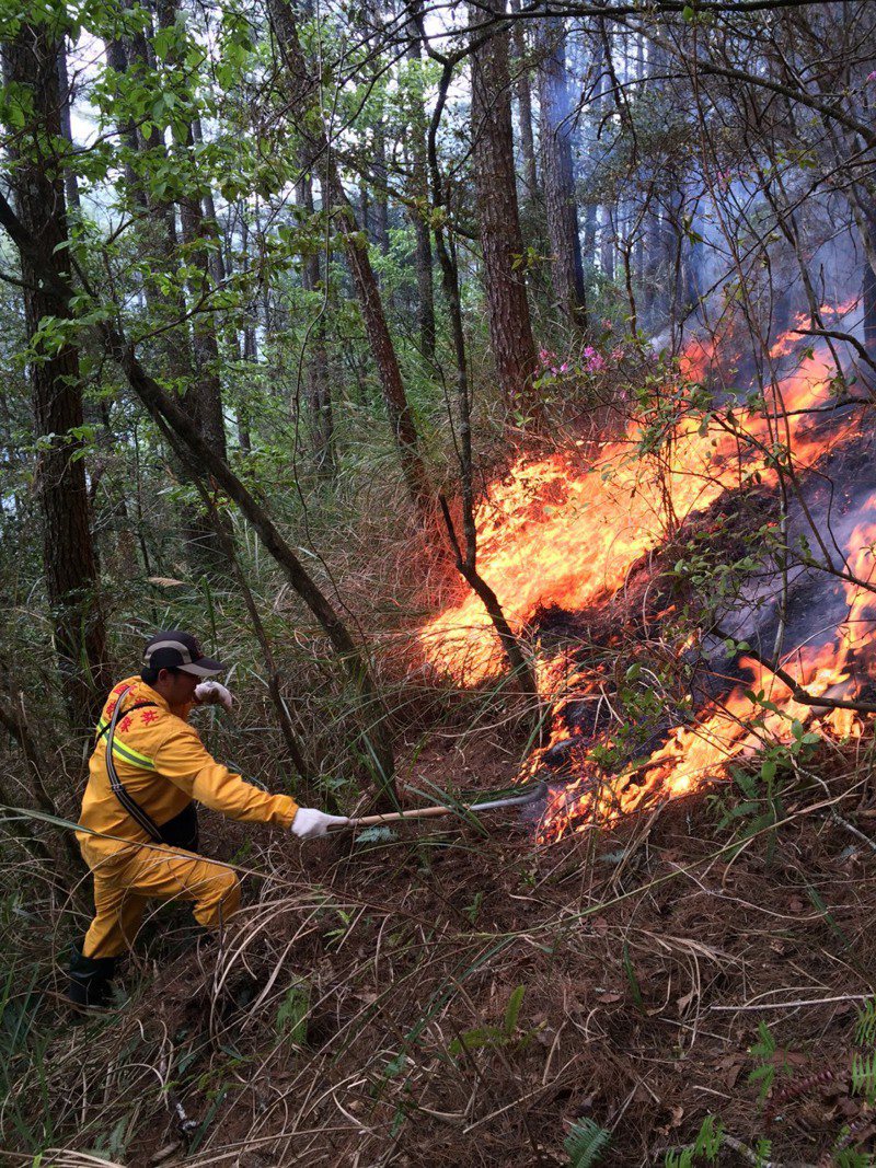 森林護管員工作多元，圖為森林護管員成立國家森林救火隊投入火場救災。圖／林務局提供