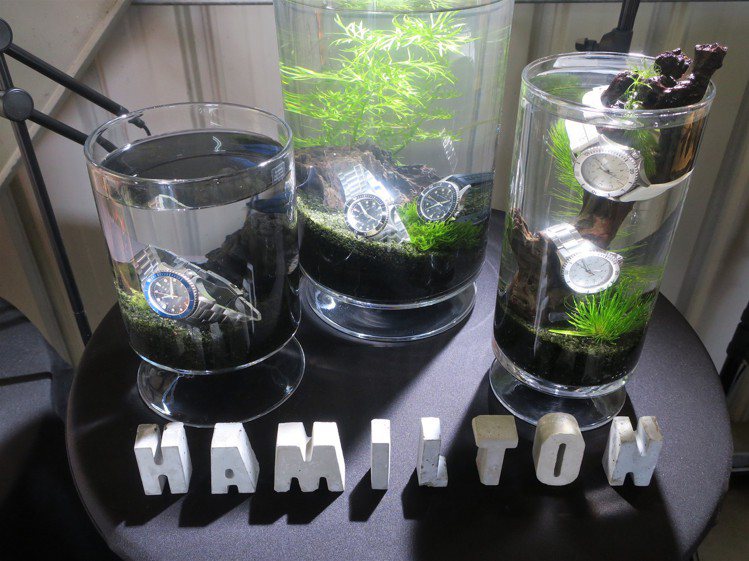 防水表能怎麼玩？Hamilton發表新品不忘把表款和小魚放進水中同悠遊。記者 / 釋俊哲攝影。