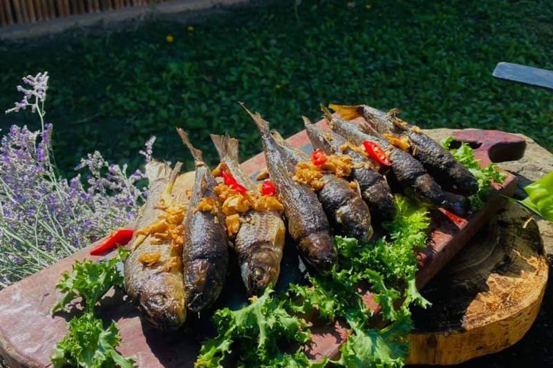 鄒族傳統美食這一道「醬筍燒鯝魚」，魚肉鮮美，圖／楊志剛提供