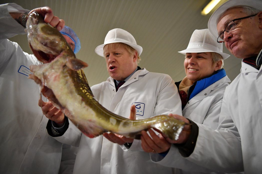 在蘇格蘭視察養魚場，與魚群相見歡的英國首相強生。在脫歐公投中，強生不斷向蘇格蘭漁...