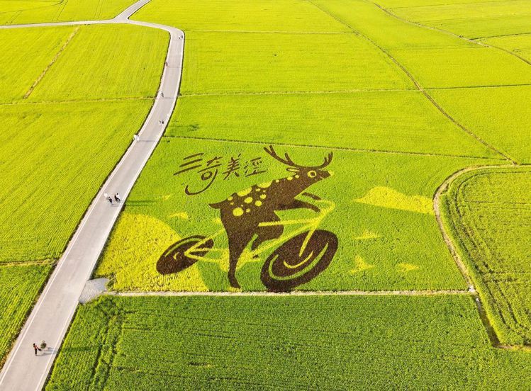 2021年冬山彩繪稻田造型為梅花鹿。圖／IG@jenychen8888授權