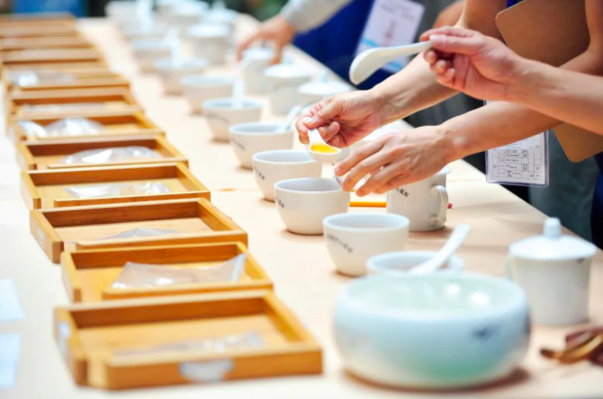 一斤茶葉被炒到數十萬元人民幣一斤，各地執法「聞風而動」的原因，在於「天價茶」背後的送禮之風、奢靡之風。圖／取自中國新聞周刊