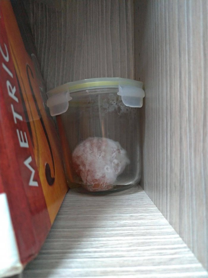 一名網友抱怨室友把蓮霧放在密封罐裡太久，最後蓮霧長滿黴菌，遠遠看好像是棉花糖一樣。 圖／翻攝自《Dcard》
