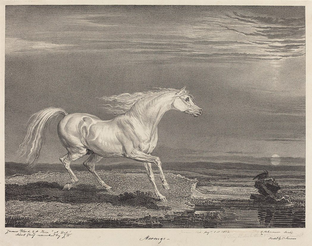 圖為1824年有關馬倫戈的畫像。 圖／維基共享