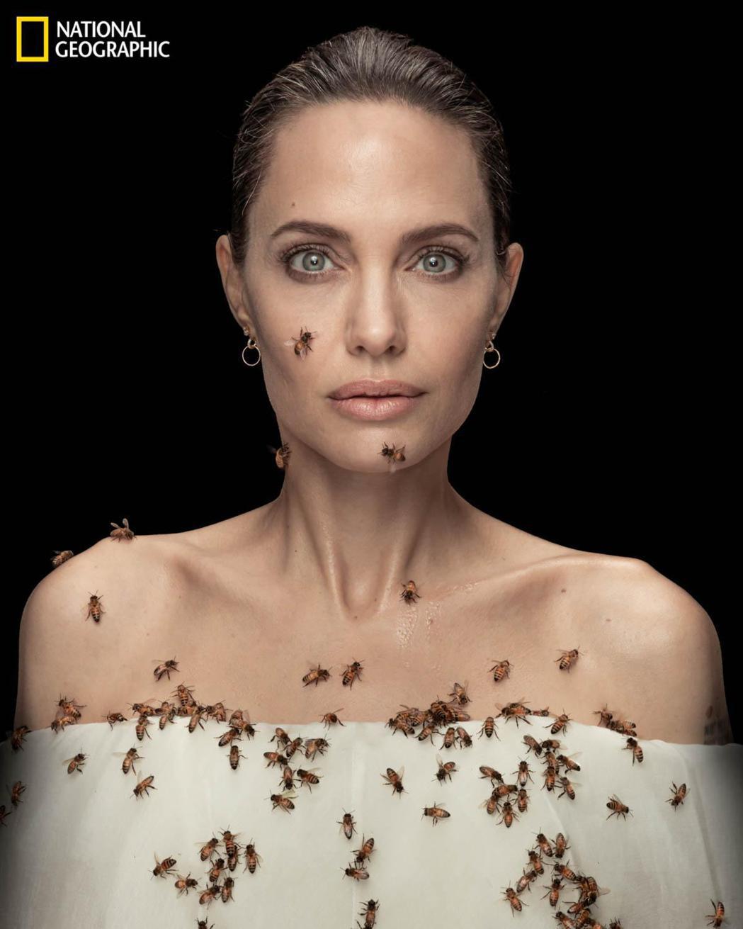 安琪莉娜裘莉3天不洗澡，抹費洛蒙，吸引蜜蜂是為了「國家地理頻道」的新企畫作宣傳。圖／摘自IG