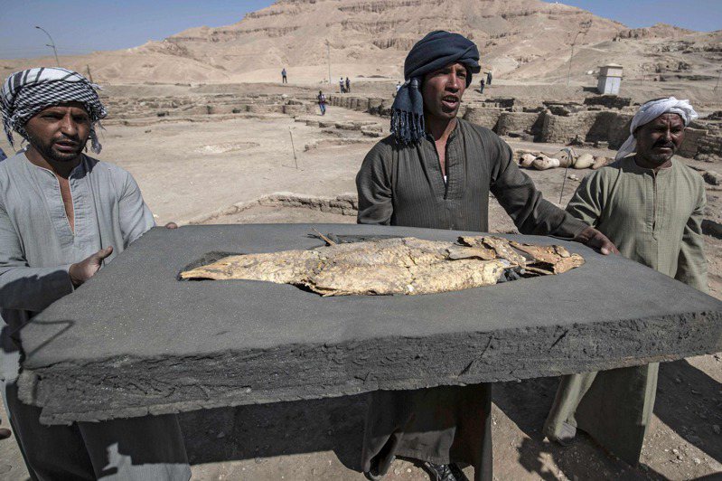 埃及考古學家在阿頓(Aten)古城遺址發現一條魚的化石。法新社