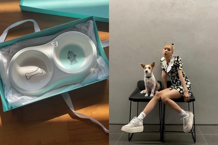 Rosé在IG限時動態開箱Tiffany的最新款骨瓷寵物碗。圖／取自IG @roses_are_rosie