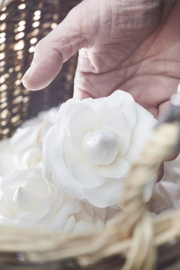 香奈兒的白色千層山茶花，是品牌重要的形象，也是保養品中最重要的活性成分來源。圖／...